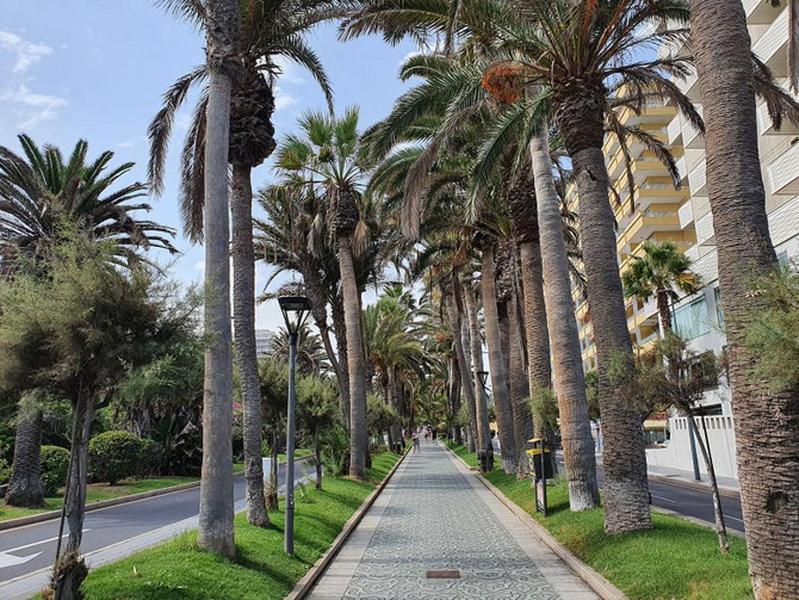 Apartamento Renovado, Frente A La Playa, Con Garaje Leilighet Puerto de la Cruz  Eksteriør bilde